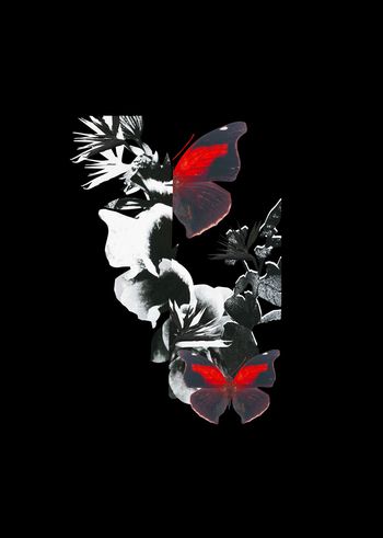 胸花图案印花华亿平台图片