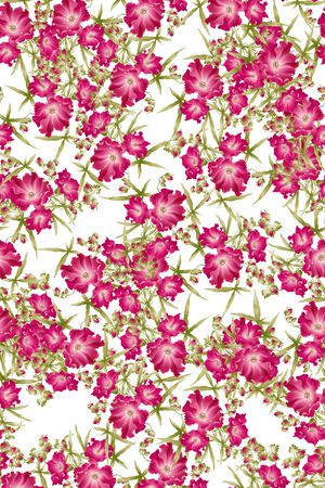 乱花印花华亿平台图片