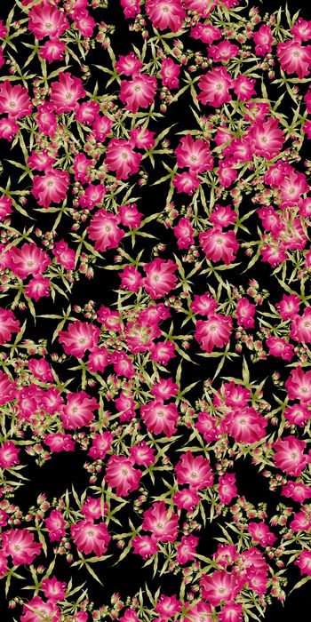 756561-20161208-21S-1