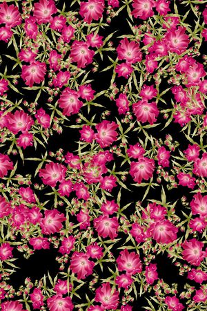 乱花印花华亿平台图片