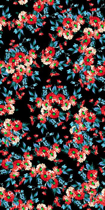 756806-20161209-24S-2