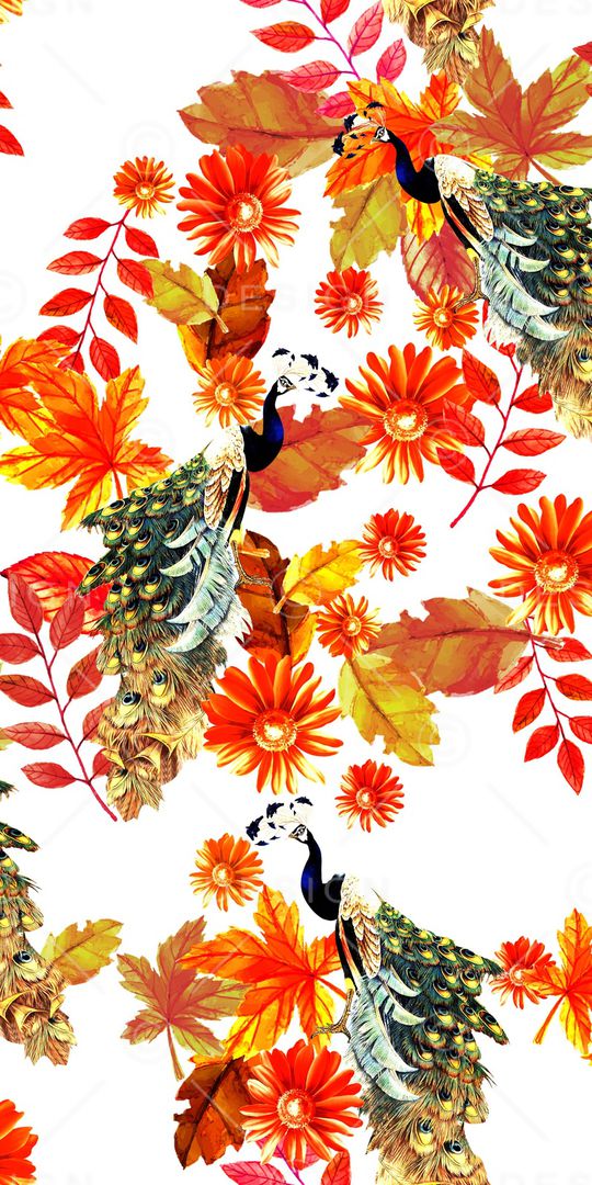 孔雀羽毛印花华亿平台图片