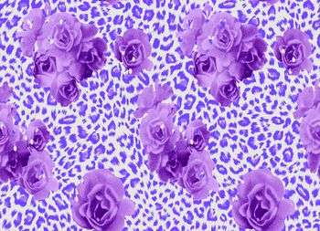 豹纹印花华亿平台图片