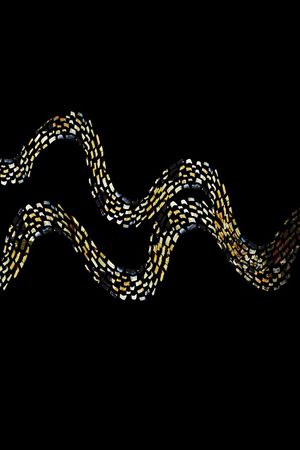 胸花图案印花华亿平台图片