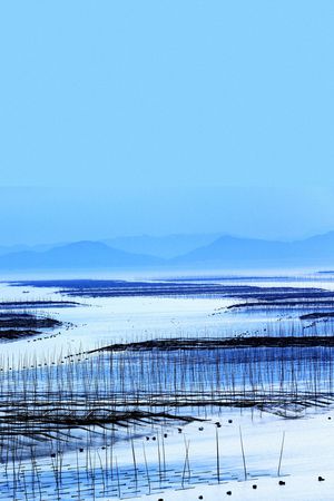度假风景印花华亿平台图片