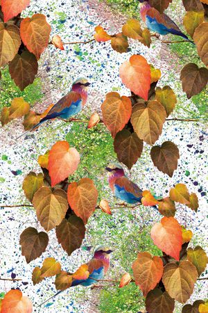 秋天印花华亿平台图片