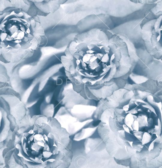 牡丹印花华亿平台图片