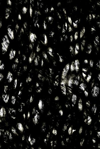 757958-fei-4467782225446