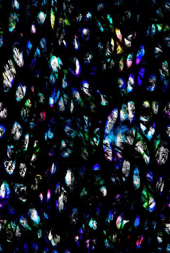 757959-fei-4467782225446