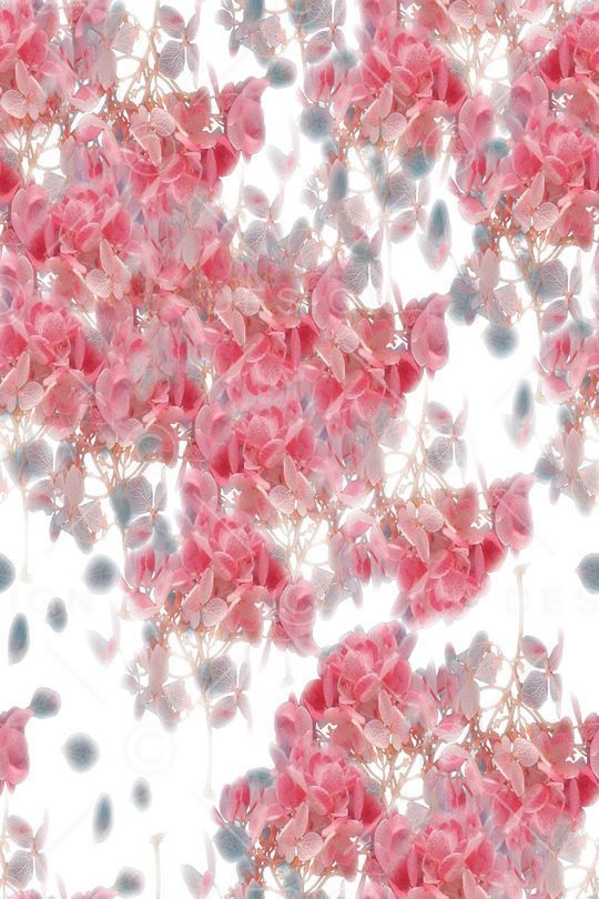 花瓣印花华亿平台图片