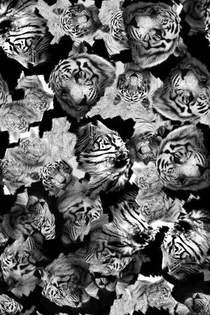 野兽印花华亿平台图片