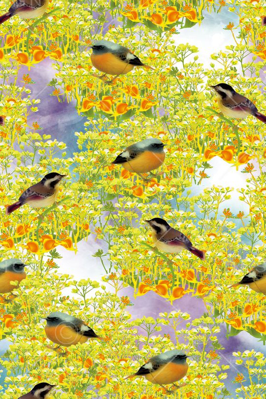 鸟印花华亿平台图片