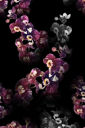 花朵印花华亿平台图片