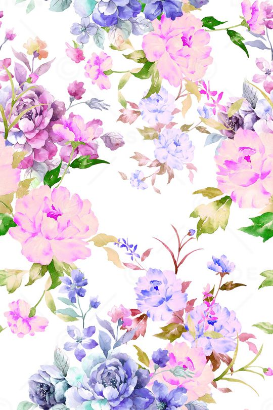 purity华亿平台fresh2印花华亿平台图片