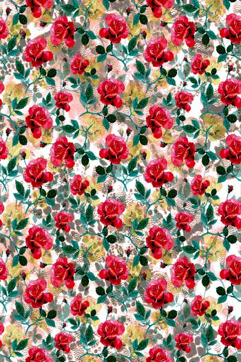 758496-玫瑰花朵抽象底纹