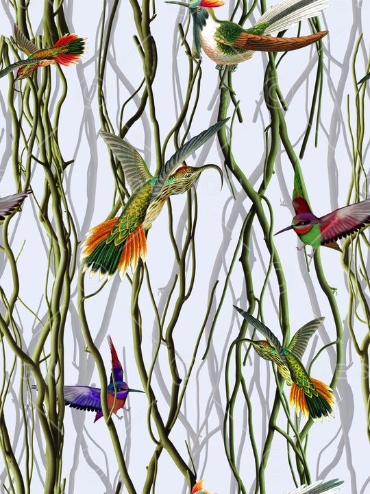 女装印花华亿平台图片