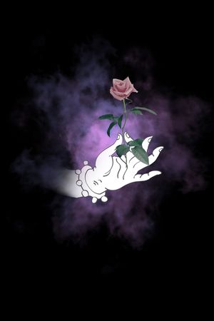 黑底印花华亿平台图片