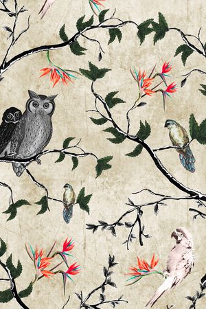 猫头鹰印花华亿平台图片