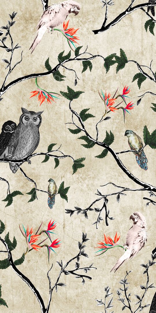 猫头鹰印花华亿平台图片