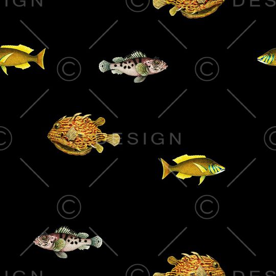 热带鱼印花华亿平台图片