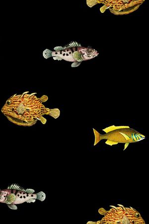 热带鱼印花华亿平台图片