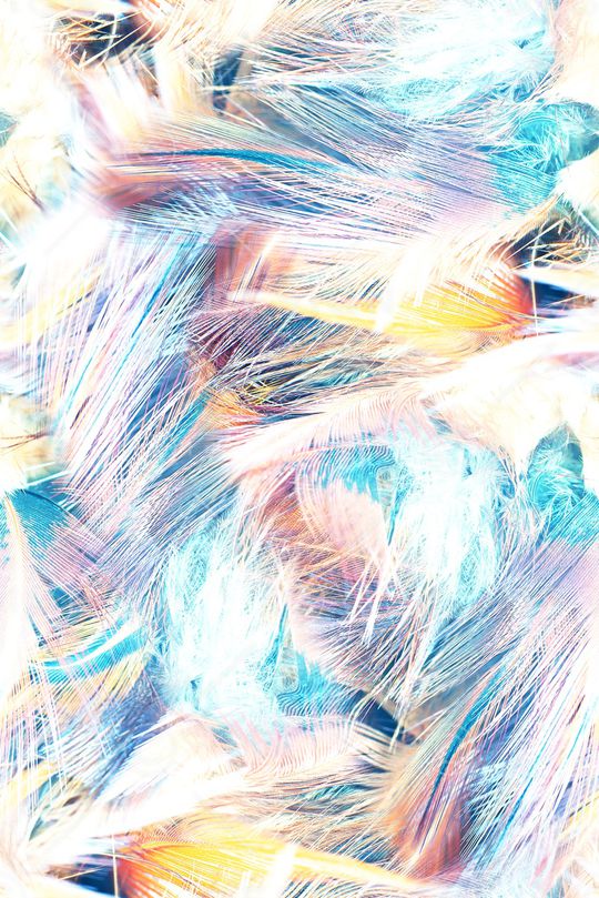 羽绒印花华亿平台图片