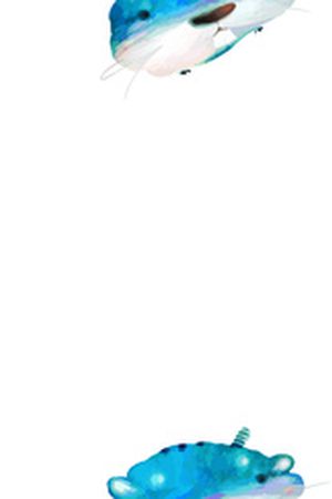 米老鼠印花华亿平台图片