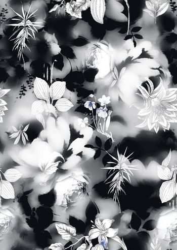 759825-花卉朦胧底纹加标本花卉-2