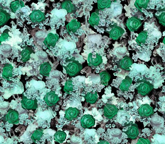 玫瑰印花华亿平台图片