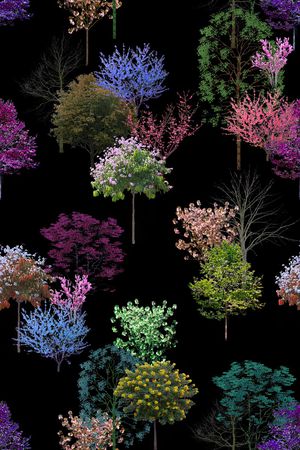 树木印花华亿平台图片