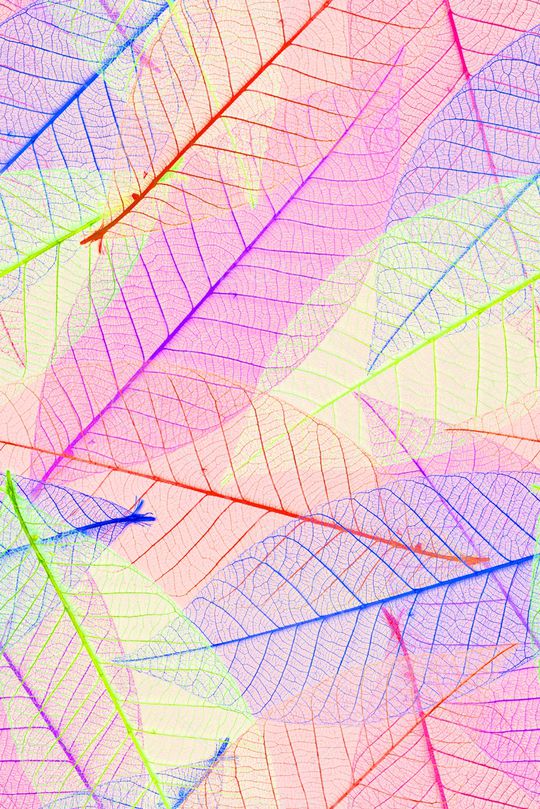 透明印花华亿平台图片