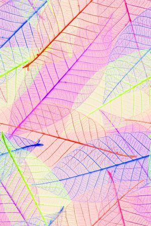 透明印花华亿平台图片