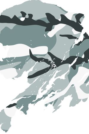 不规则印花华亿平台图片