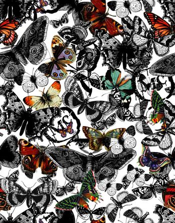 760046-838816121402b