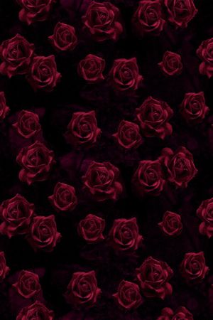 花朵印花华亿平台图片