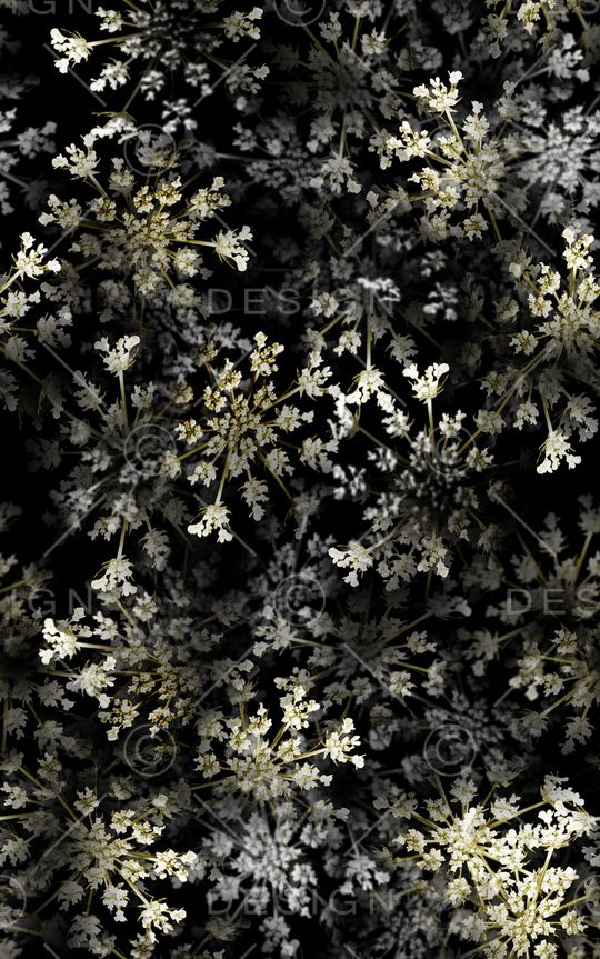 兰花印花华亿平台图片