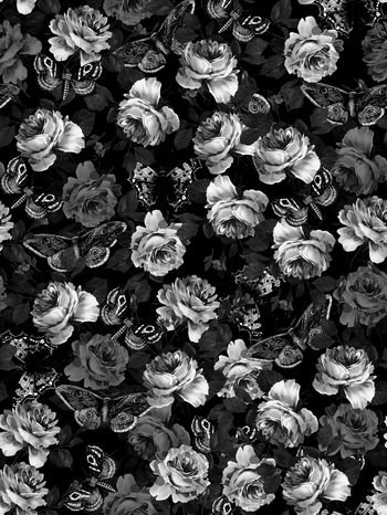 760602-838816121503a