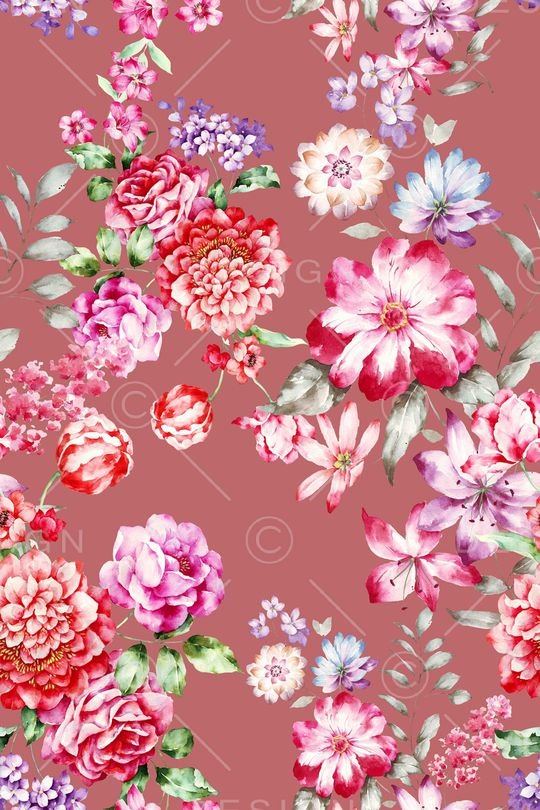 purity华亿平台fresh2印花华亿平台图片