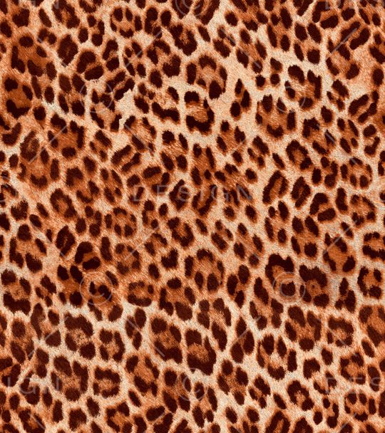 豹纹印花华亿平台图片