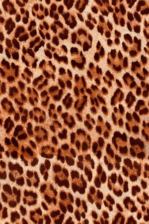 豹纹印花华亿平台图片