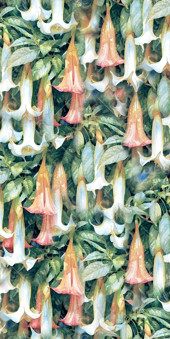 数码花卉类印花华亿平台图片