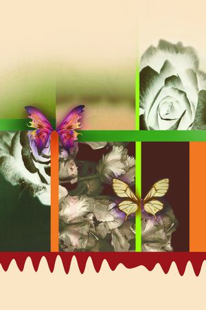 女装前幅印花华亿平台图片