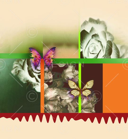 女装前幅印花华亿平台图片