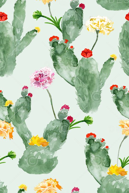 热带印花华亿平台图片