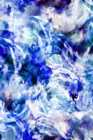 牡丹印花华亿平台图片