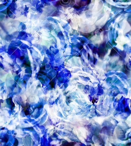 牡丹印花华亿平台图片