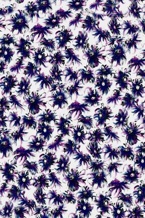 乱花印花华亿平台图片