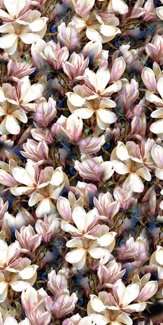 乱花印花华亿平台图片