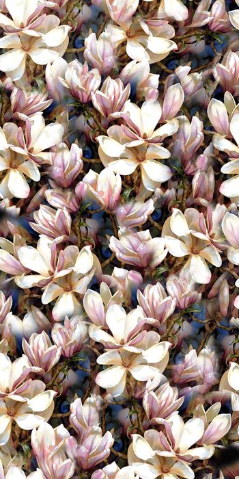 乱花印花华亿平台图片