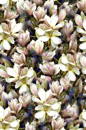 乱花印花华亿平台图片